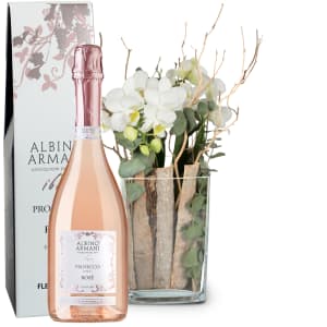 Zimmerpflanze «Lifestyle» (Orchidee in Vase) mit Prosecco Rosé Albino Armani DOC (75 cl)