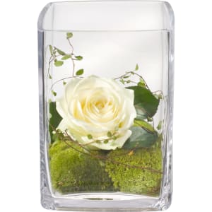 Edles Grüsschen inkl. Vase