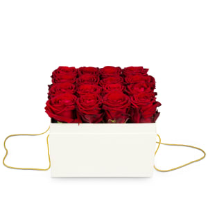 Media 6 - Blumenbox «Venice» (20 cm)