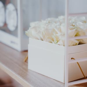 Media 2 - Blumenbox «Athens» (15 cm)