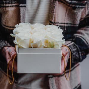 Boîte à fleurs «Athens» (15 cm)