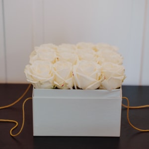 Boîte à fleurs «Athens» (20 cm)