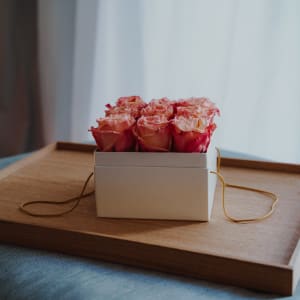 Media 4 - Blumenbox «Vienna» (15 cm)