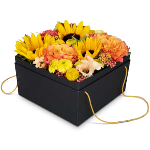 Blumenbox «Cuzco» (20 cm)
