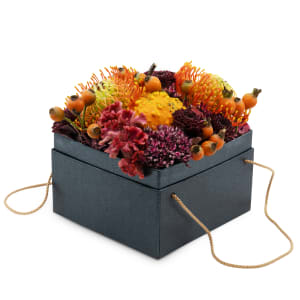 Media 1 - «Boo-Box» (15 cm)