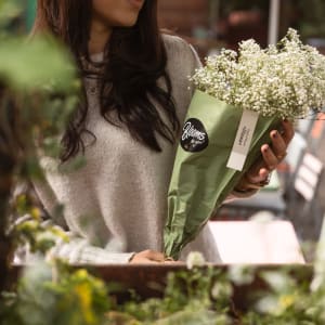 Media 5 - Blooms for you «Diana»