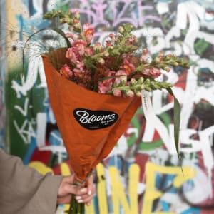 Media 5 - Blooms for you «Joanne»