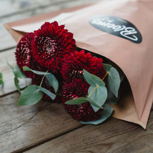 Media 6 - Blooms for you «Giorgia»