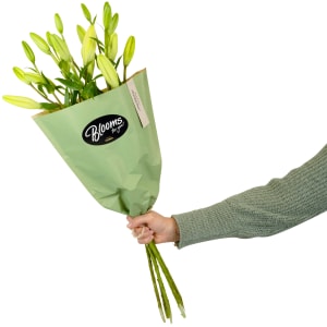 Blooms for you «Katharina»