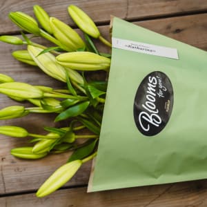 Media 6 - Blooms for you «Katharina»