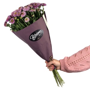 Blooms for you «Audrey»