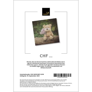 Geschenkgutschein «Gute Besserung» (PDF)