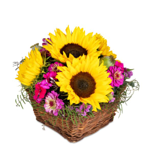 Blumengesteck «Sunny Day»