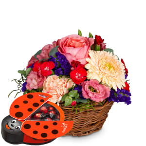 Blumengesteck «Melodie der Farben» mit Munz Schoggi-Glückskäfer