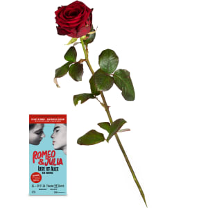 1 rote Rose mit Gutschein CHF 100.- für das Musical «Romeo & Julia»
