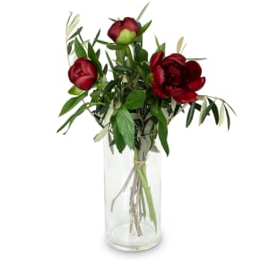 3 Pfingstrosen (bordeaux) mit Grün