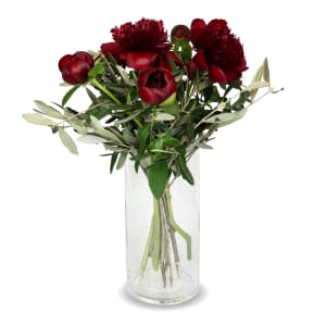 5 Pfingstrosen (bordeaux) mit Grün