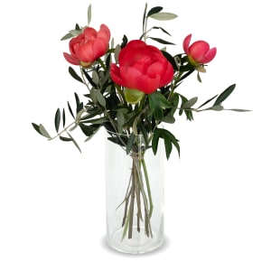 3 Pfingstrosen (coral) mit Grün