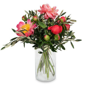 12 peonie rosso corallo con verde