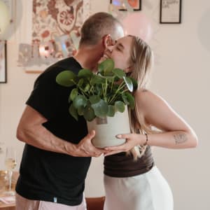 Media 5 - Männerpflanze «Das ist Neil» (Pilea peperomioides)