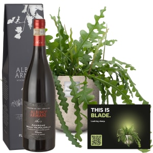 Männerpflanze «Das ist Blade» (Epiphyllum anguliger) mit Amarone Albino Armani DOCG (75 cl)