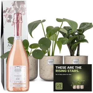 Baby-Männerpflanzen-Set «Rising stars» mit Prosecco Rosé Albino Armani DOC (75 cl)