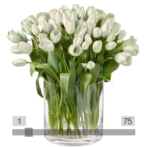 MyBouquet «Weisse Tulpen»