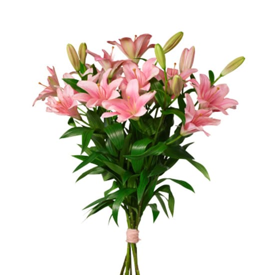 Bouquet gigli rosa