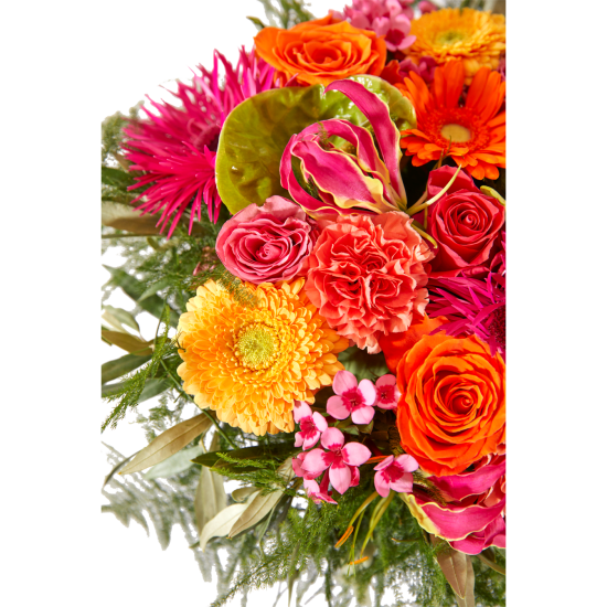 Arrangement of cut flowers