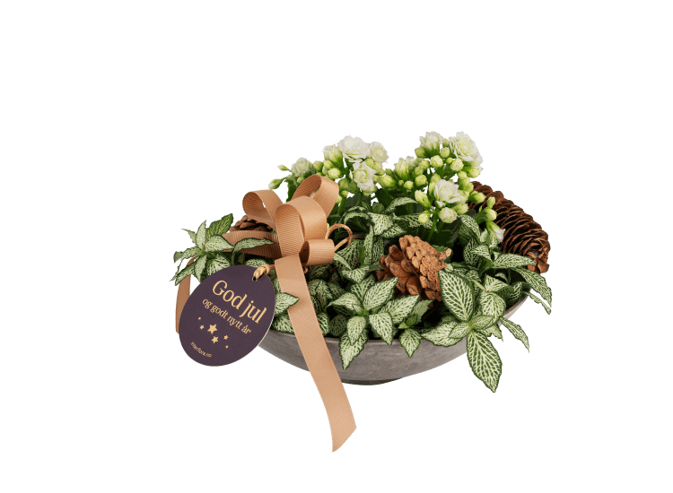 White Christmas 240544