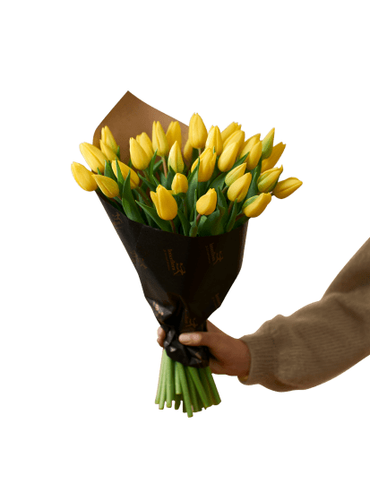 Easter Tulips 240131