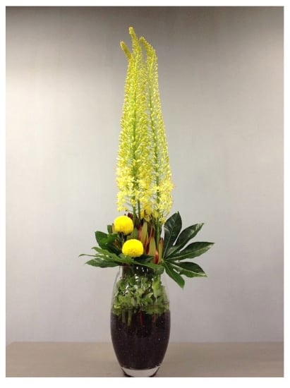 Arrangement of Cut Flowers