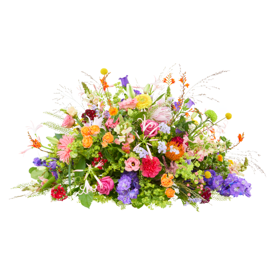 Funeral - Colour splendor