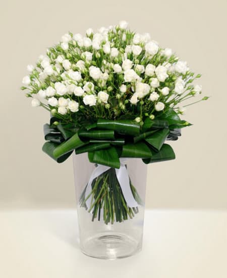 Purity