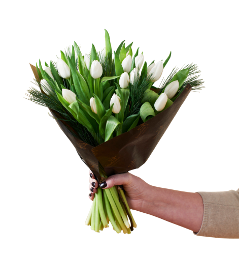 White Tulips Christmas 240518