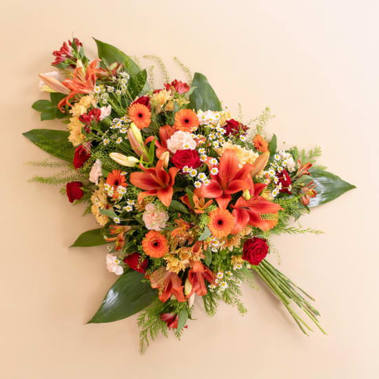 Orange astral travel