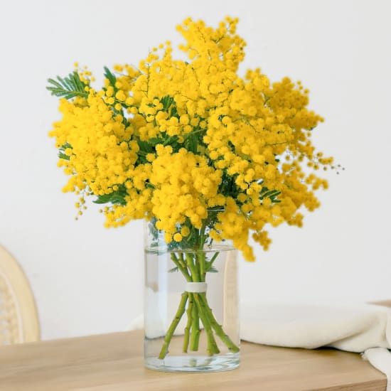 Radiant Mimosa Bouquet