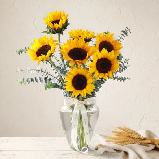 The Sunflower Edit