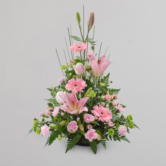 Pink Sympathy