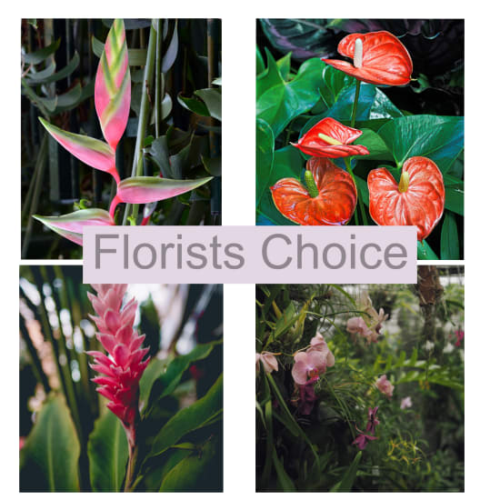 Florists Choice