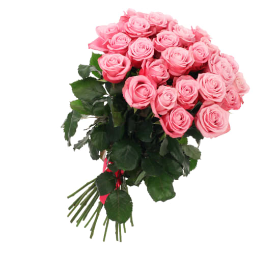 Flamingo Pink Roses Bunch