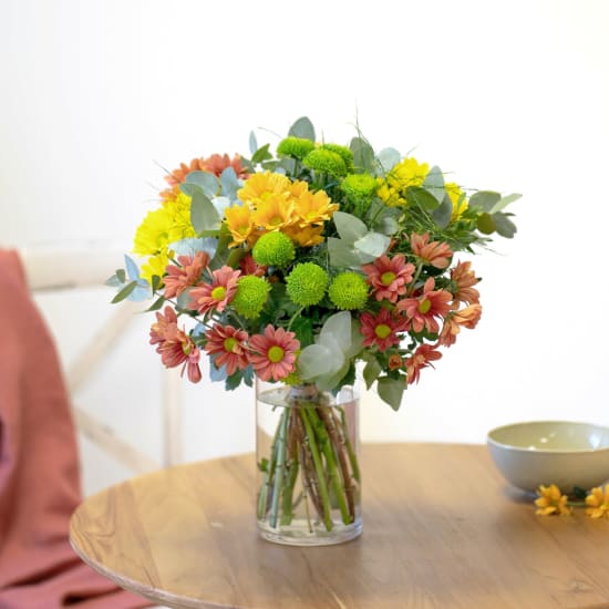 Bouquet of colorful daisies colorful and decorative green