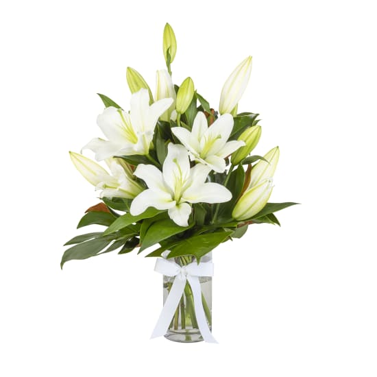 Sympathy Lilies