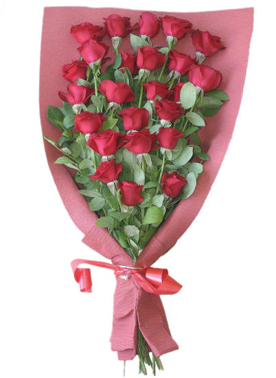 Bouquet of 24 Red Roses