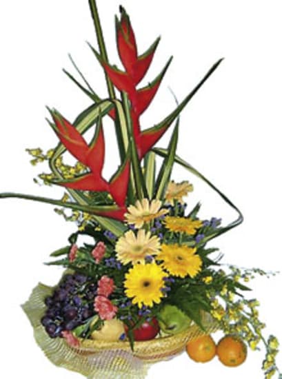 Cesto Di Fiori E Frutta Ordinare Adesso Consegna Acora Oggi