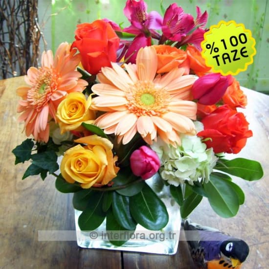 Arrangement of Cut Flowers