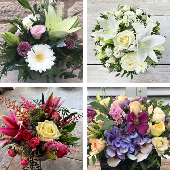 Arrangement of Cut Flowers