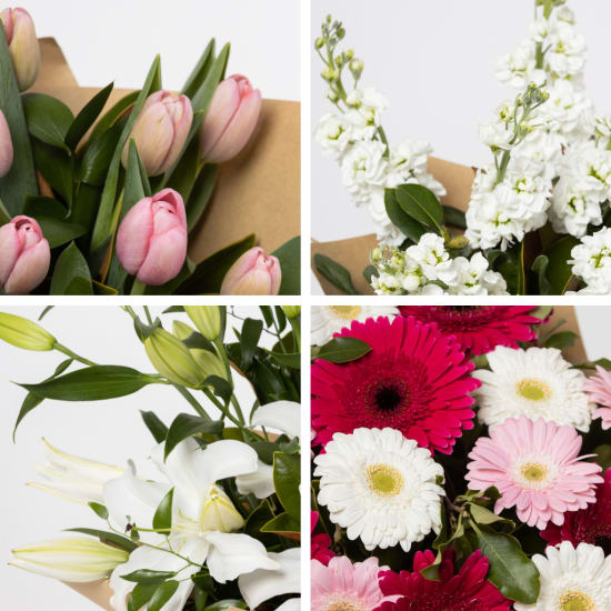 Bouquet of Mixed Cut Flowers