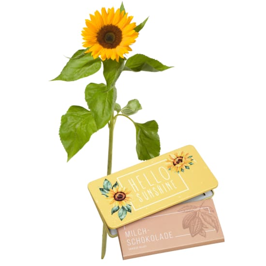 A Small Sun (1 sunflower) with Munz bar of chocolate «Hello Sunshine»