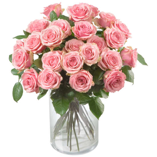 24 Rosa Rosen Hier Online Bestellen Lieferung Noch Gleichen Tag